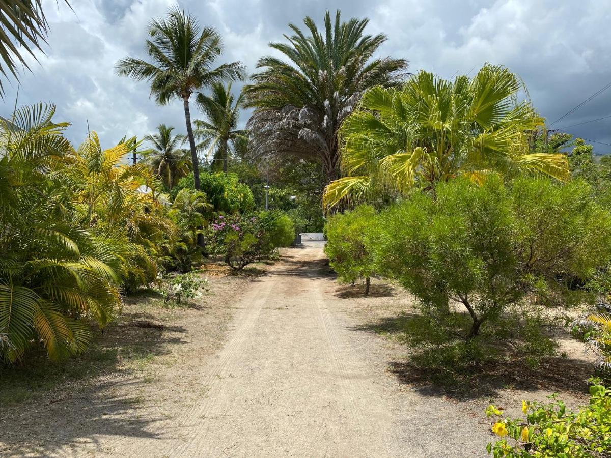 Villa & Bungalow 'Coco Des Sables' Les Pieds Dans L'Eau 라 살린 레 뱅 외부 사진